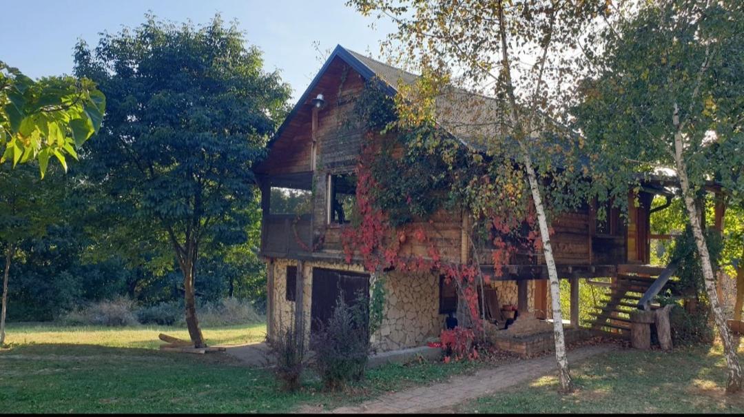 Log Cabin Bělehrad Exteriér fotografie