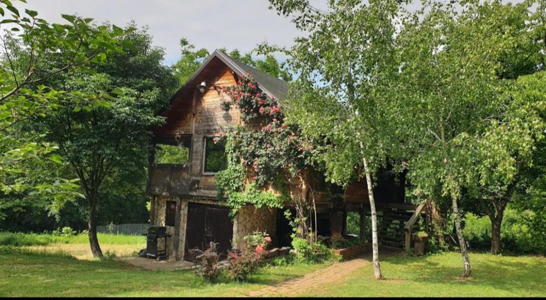 Log Cabin Bělehrad Exteriér fotografie