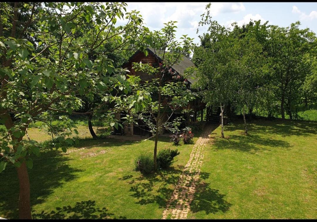 Log Cabin Bělehrad Exteriér fotografie