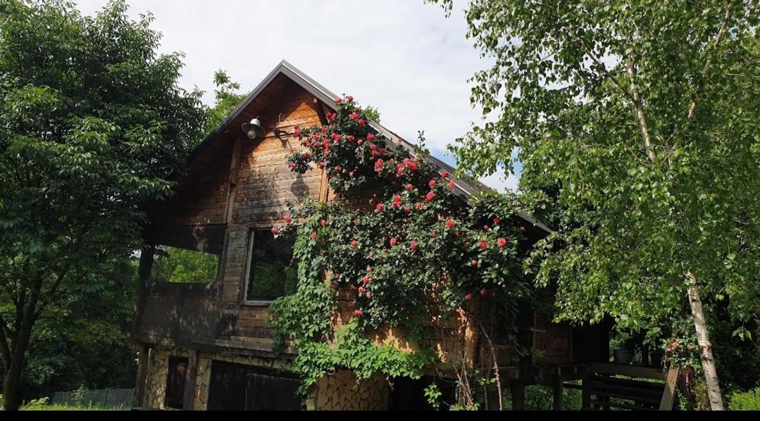 Log Cabin Bělehrad Exteriér fotografie